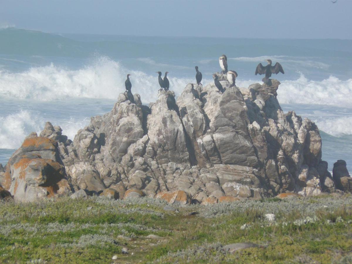 House Of 2 Oceans Διαμέρισμα Agulhas Εξωτερικό φωτογραφία