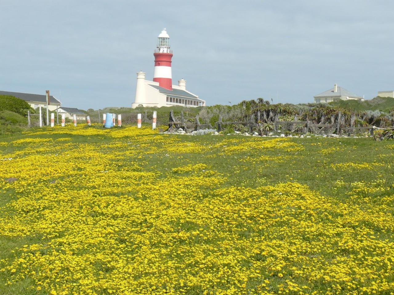 House Of 2 Oceans Διαμέρισμα Agulhas Εξωτερικό φωτογραφία